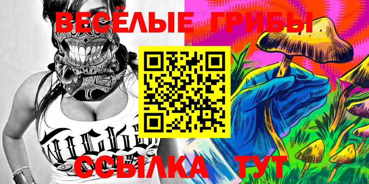 Галлюциногенные грибы мухоморы Павловский Посад