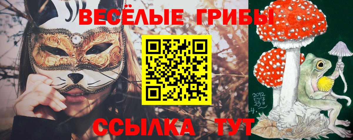 Павловский Посад  Галлюциногенные грибы Cubensis  Вход с VPN  Псилоцибиновые грибы мицелий 